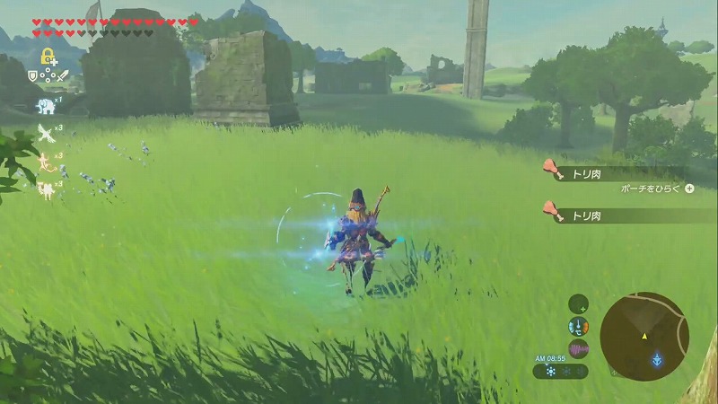 ガンバリバッタを捕る方法 攻略方法 ゼルダの伝説ブレスオブザワイルド Neon Green Alien